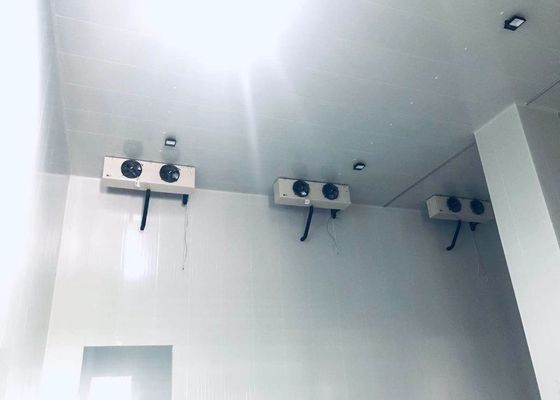Προσαρμοσμένο 100mm κρύο δωμάτιο πυκνότητας αιθουσών αποθήκευσης επιτροπής δροσίζοντας 42KG/M3 για την αποθήκευση κρέατος