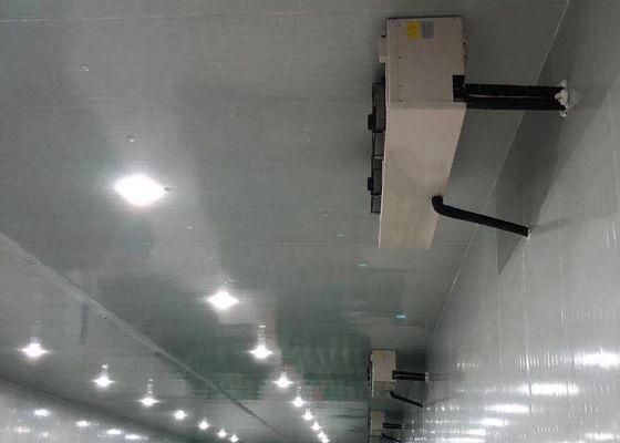 Προσαρμοσμένο 100mm κρύο δωμάτιο πυκνότητας αιθουσών αποθήκευσης επιτροπής δροσίζοντας 42KG/M3 για την αποθήκευση κρέατος
