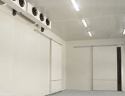 Προσαρμοσμένος περίπατος επιτροπής σάντουιτς στο δροσερό δωμάτιο 0.8mm εμπορικά κρύα δωμάτια χάλυβα 1.0mm